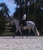 Photo by D. Cornagie